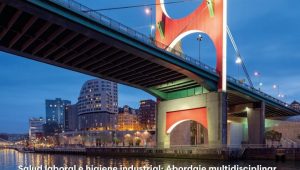 XVII Congreso Internacional de la SEMST  – 19 y 20 de febrero de 2026.